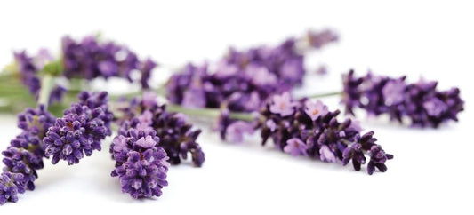 July 3 Full Buck Moon/ Lavender Foot Bath